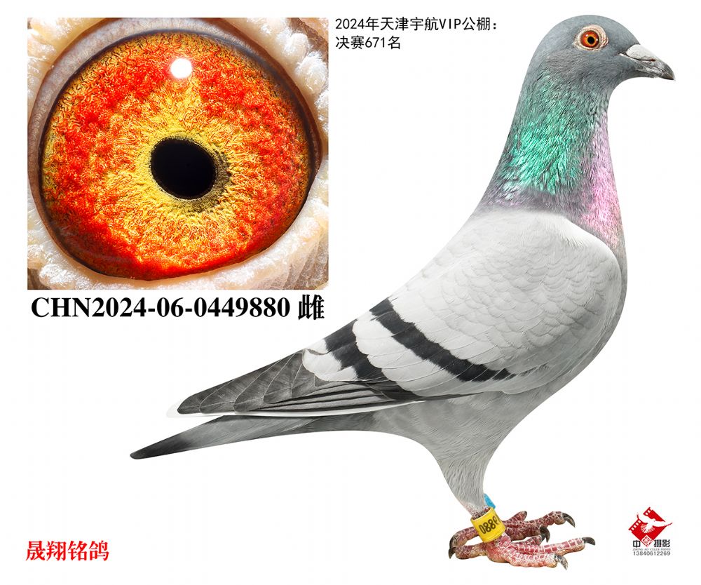 �����671��