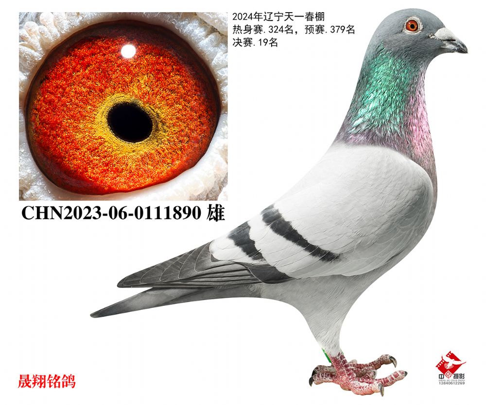 ����һ����.����19����