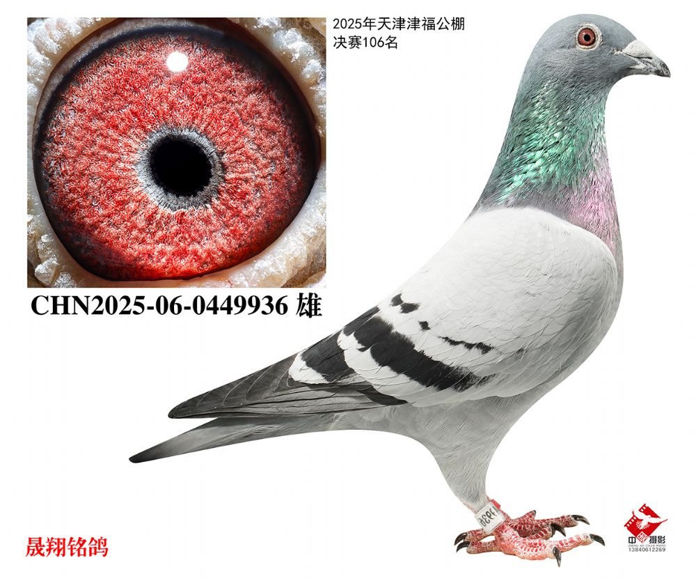 ���򸣹���.����102����