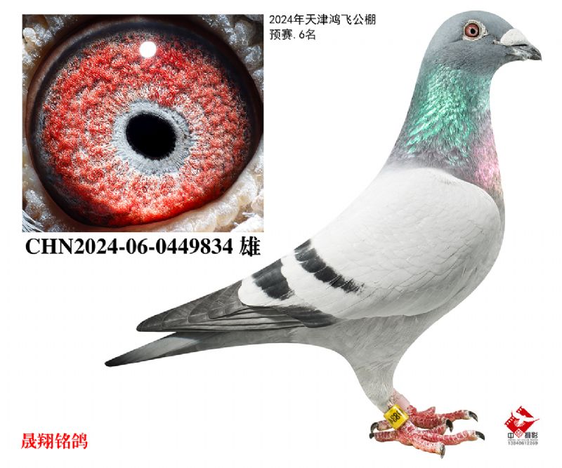 ��ɹ���Ԥ��.6��