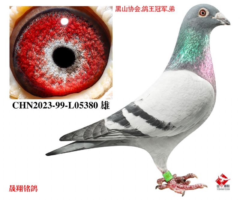 ����57��.ֱ��