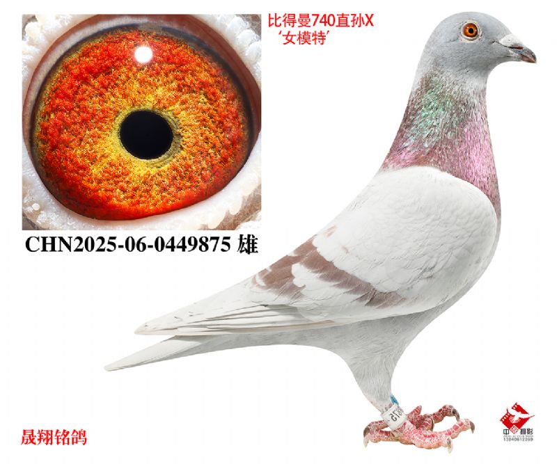 ��Ůģ�ء�ֱ��