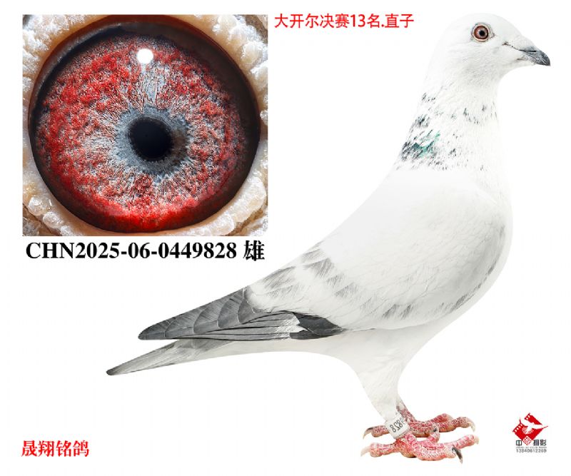 ����13��.ֱ��