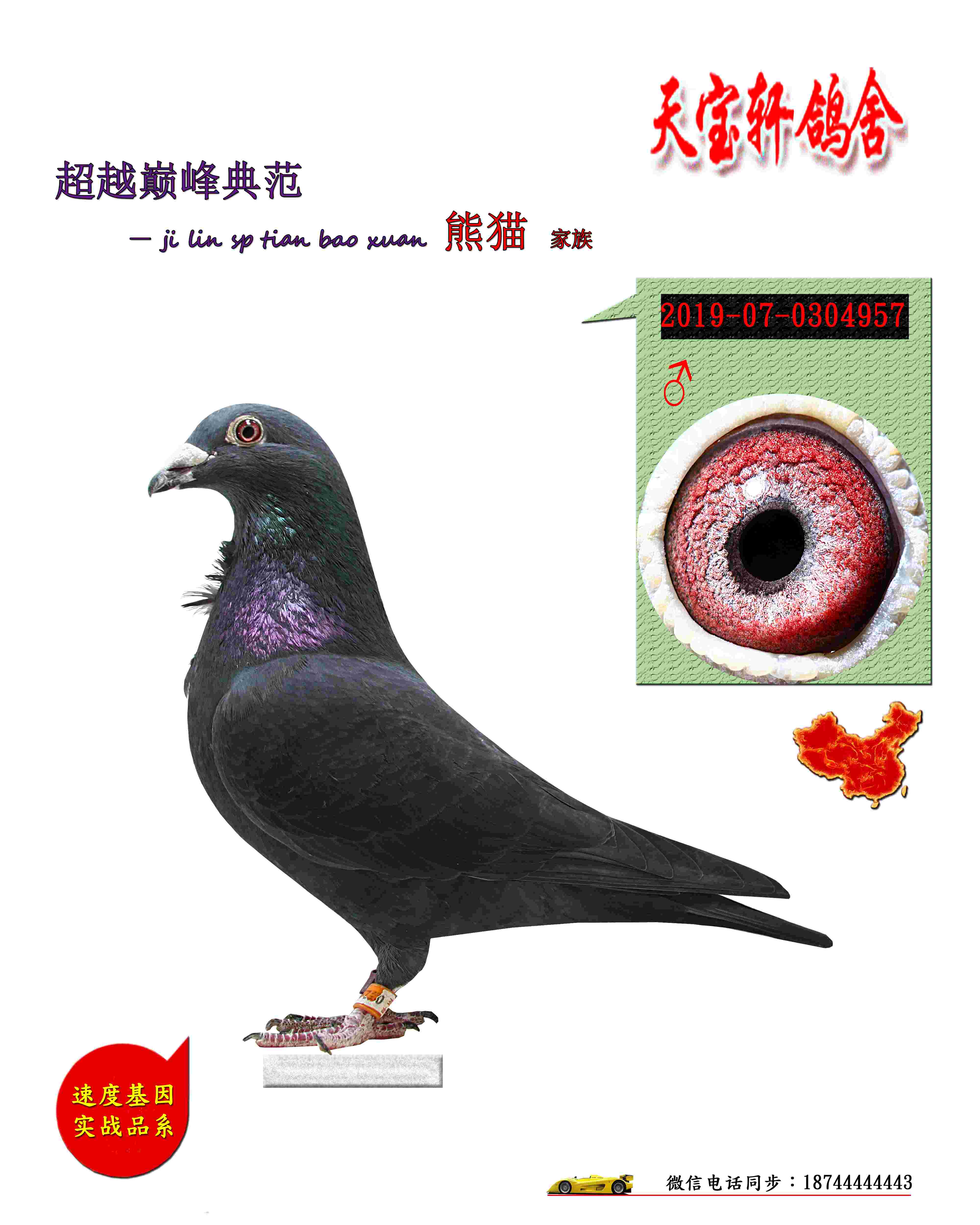 ��ë����