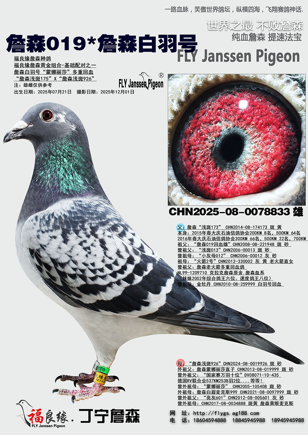 ղɭ019*ղɭ�����