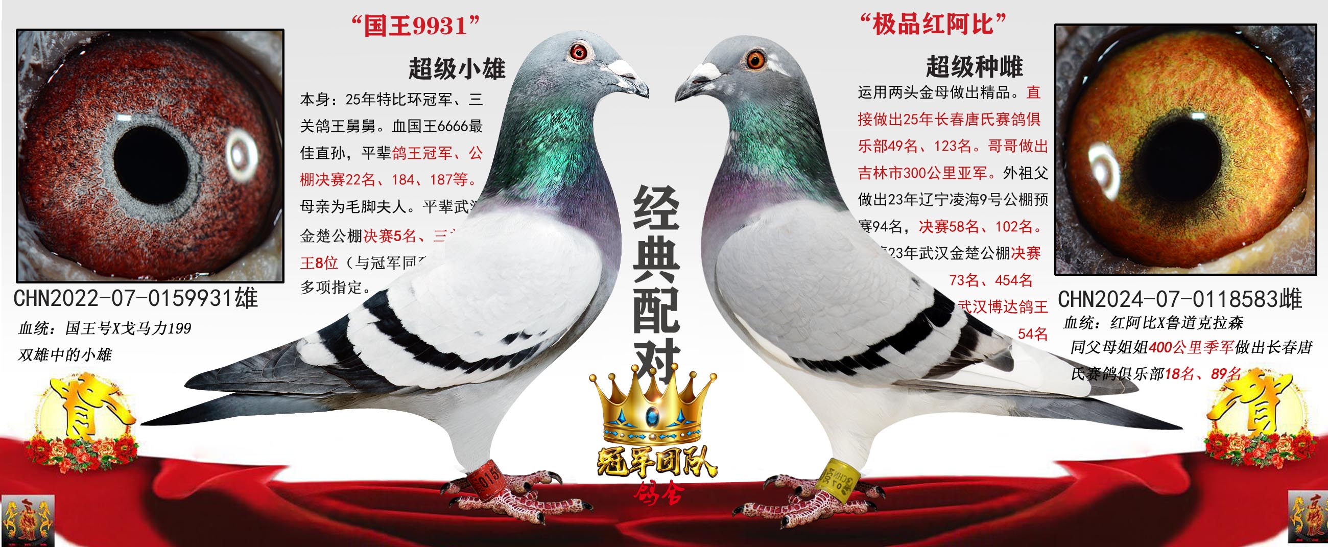 �ھ�ȫ��  X  49��ĸ�ף���Ʒ�찢��