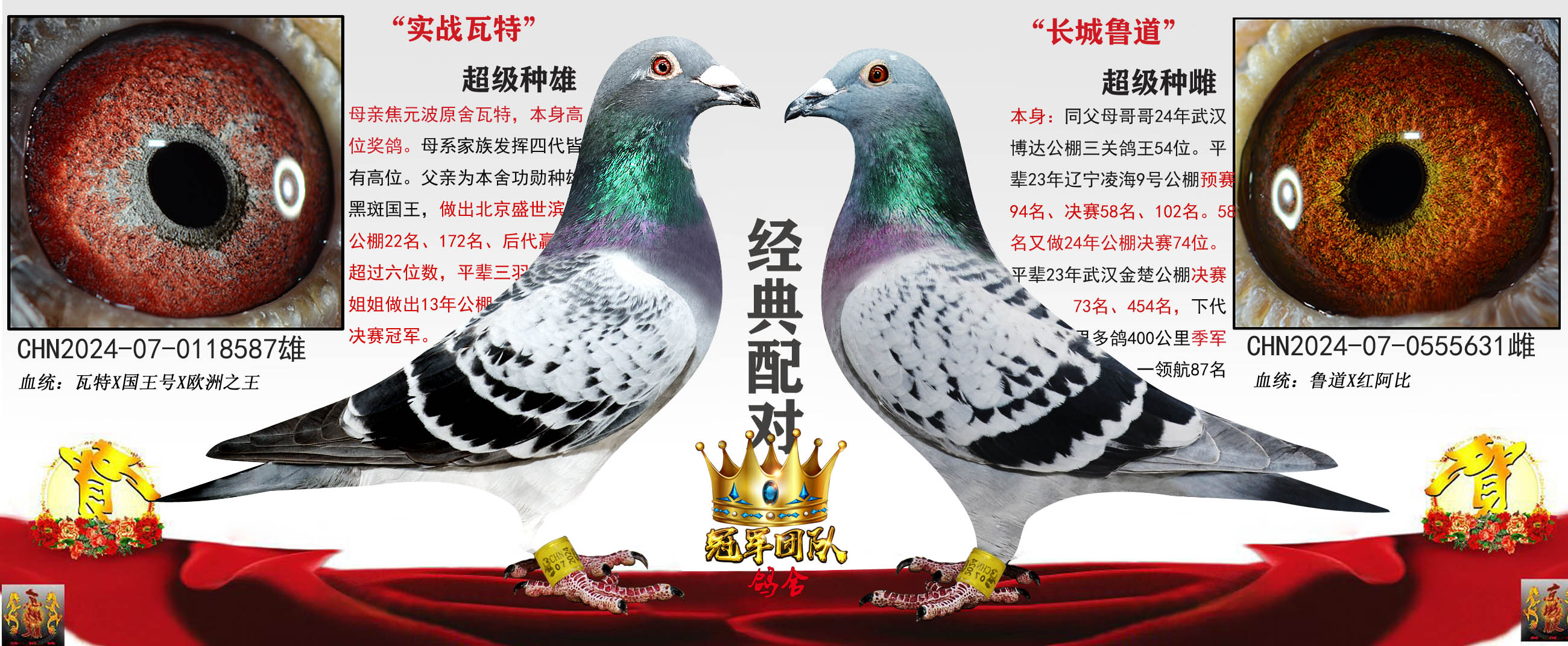 �����ڰ߹��� X ����54����