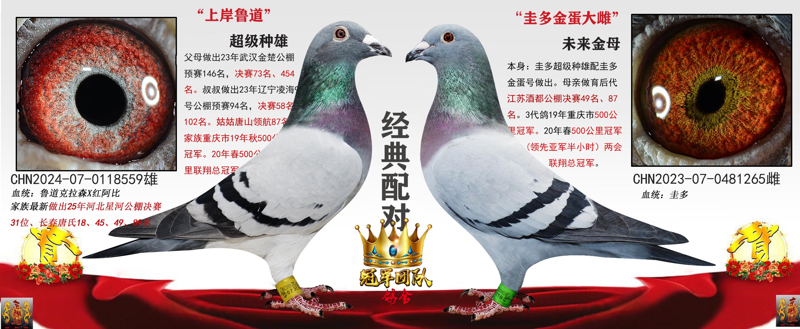 ���73�ܵ� X �𻷹�����ֱŮ