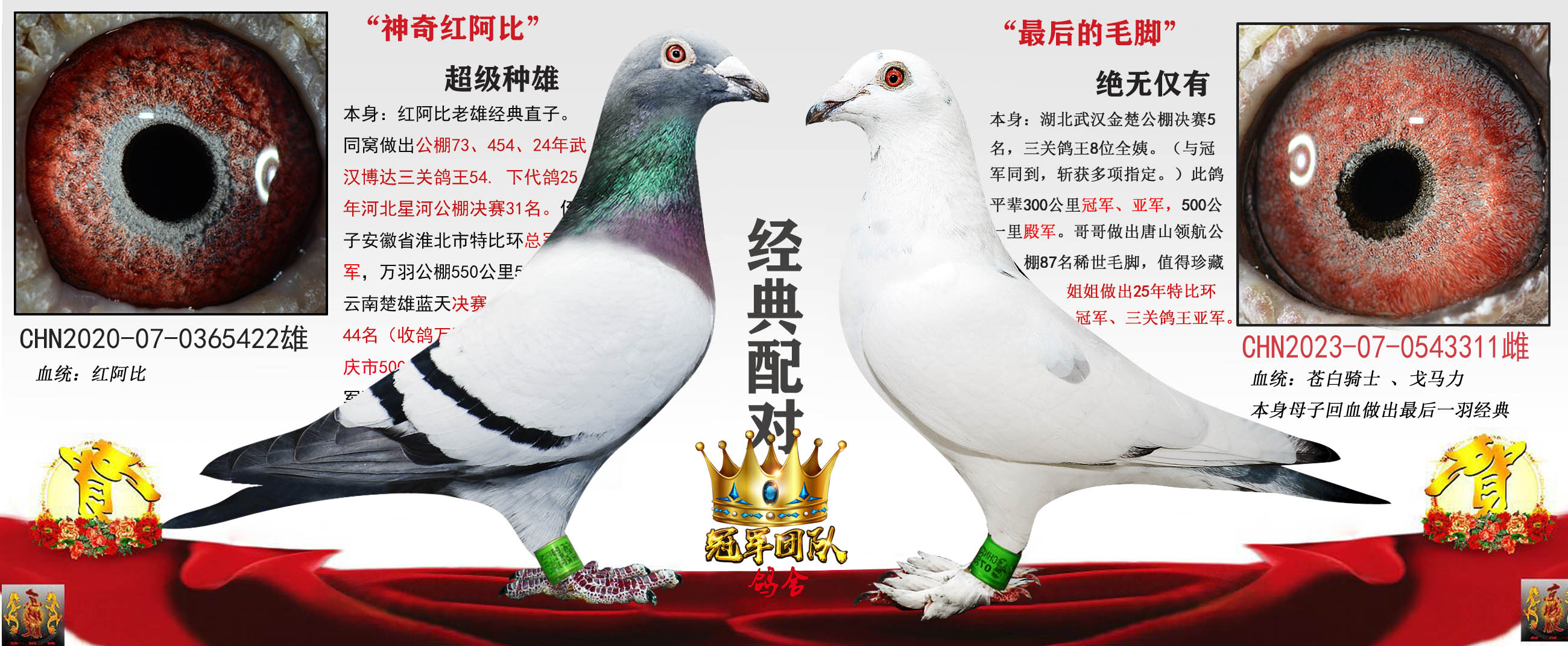 ս��찢�� X ���5��ȫ��