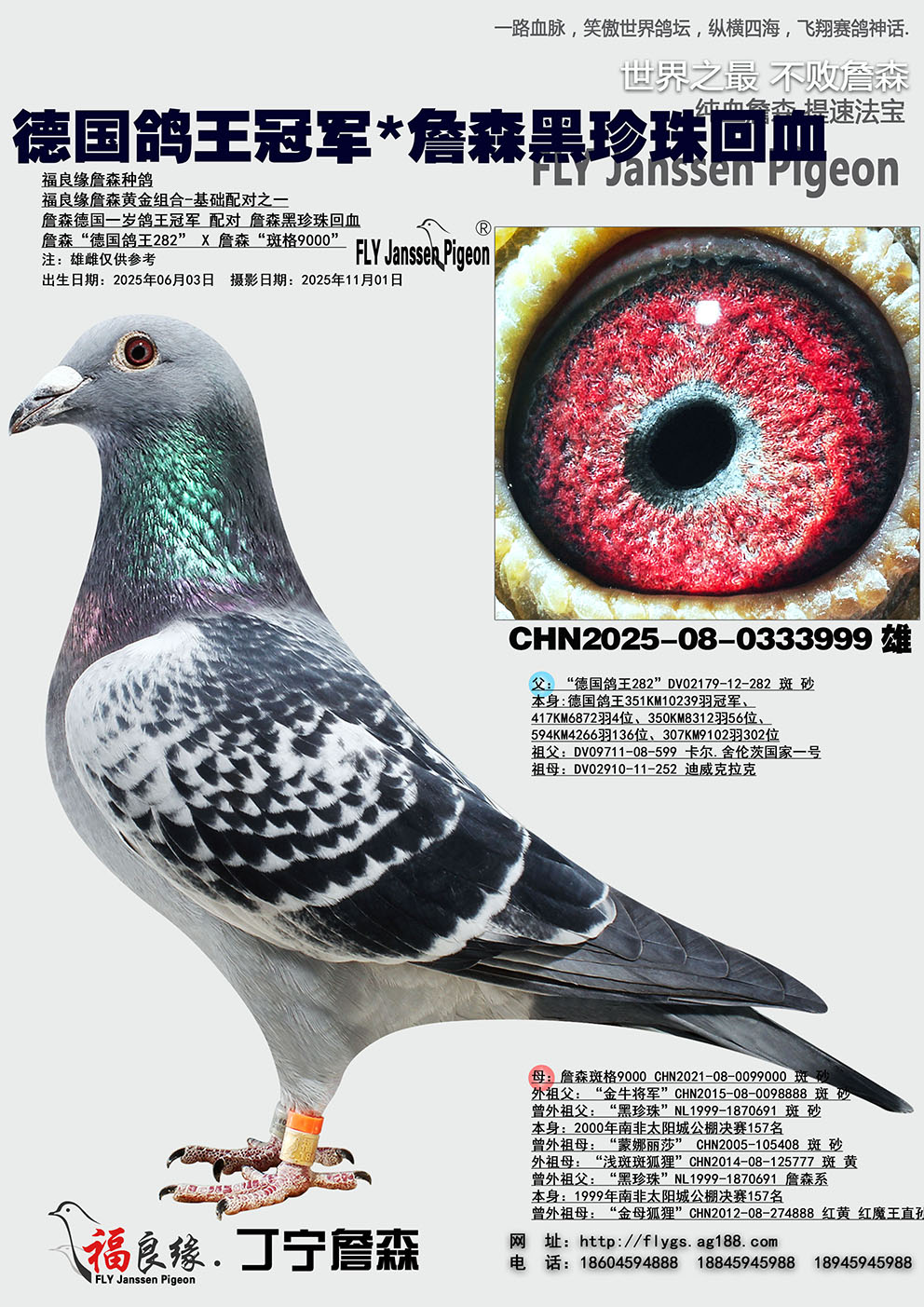 �¹������ھ�*ղɭ�������Ѫ