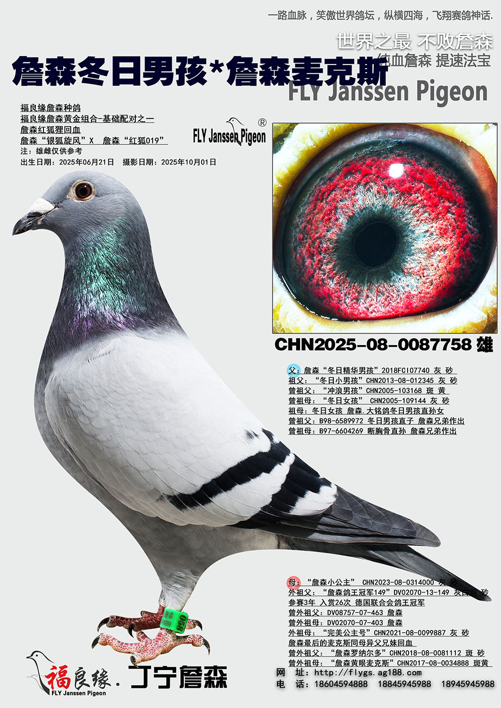 ղɭ�����к�*ղɭ���˹