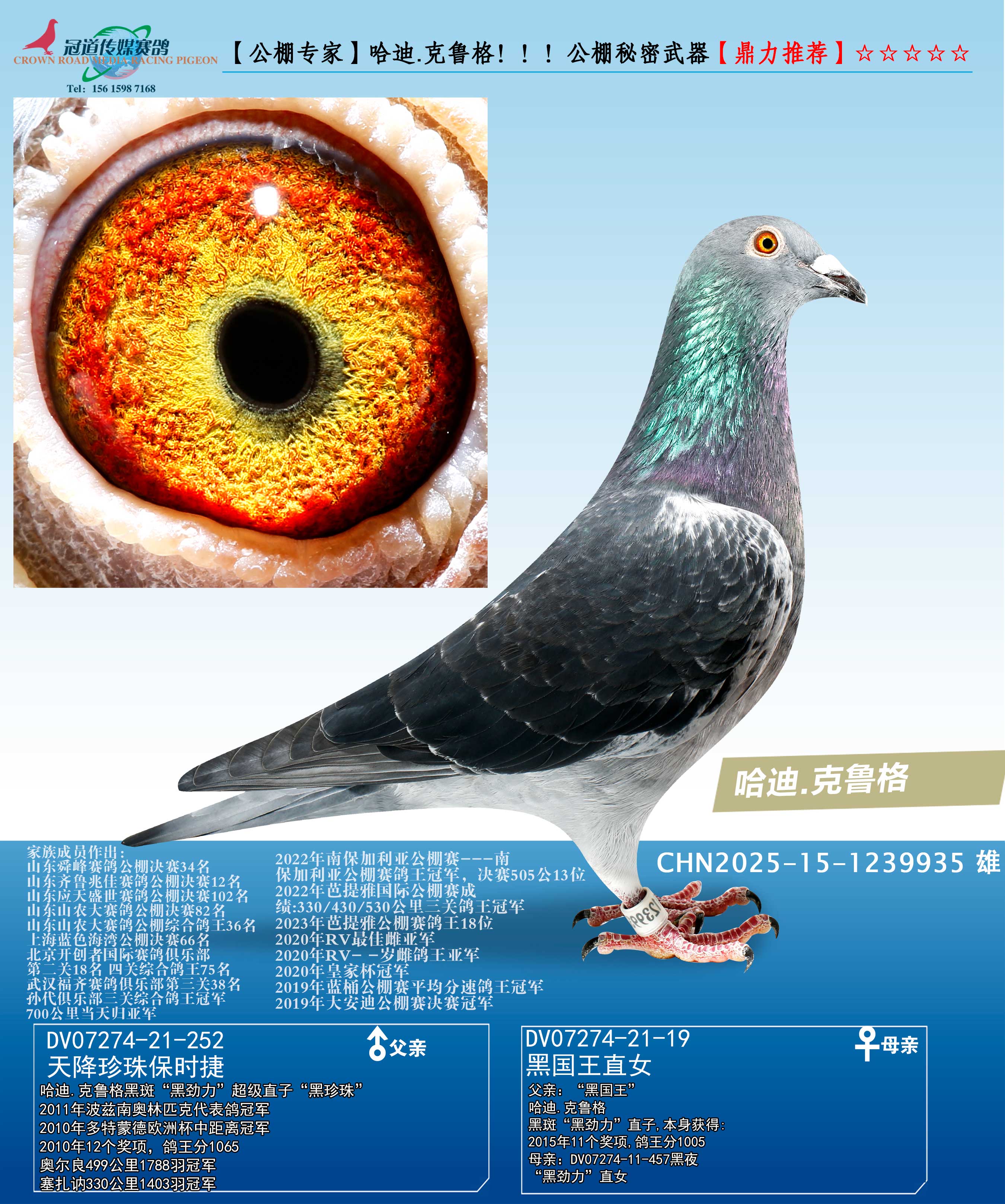 ��������.��³��������������