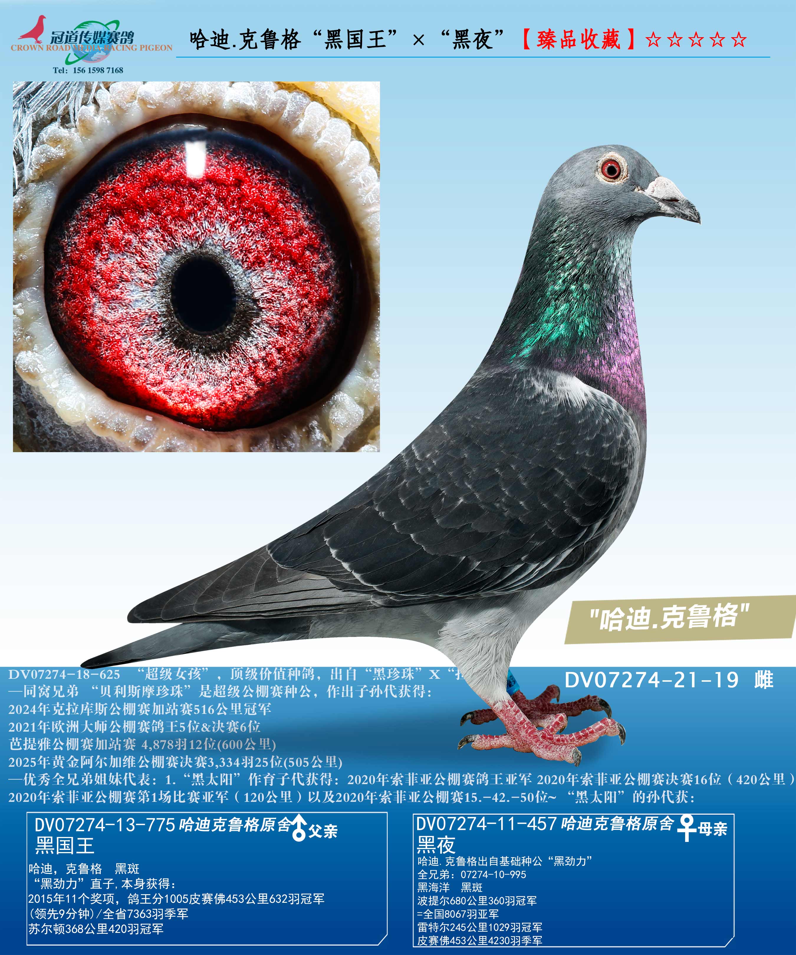 ����.��³�񡰺ڹ�����������ҹ��