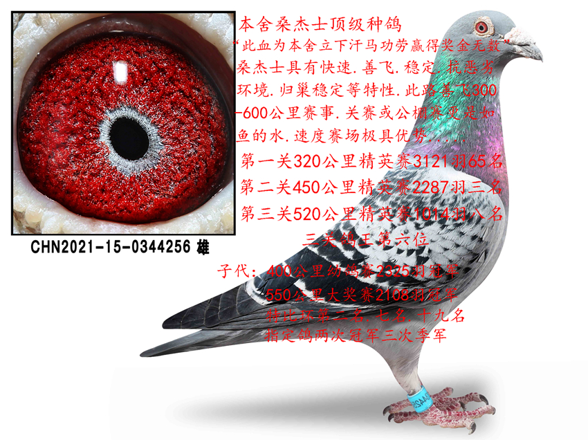 ɣ��ʿ�߱�����