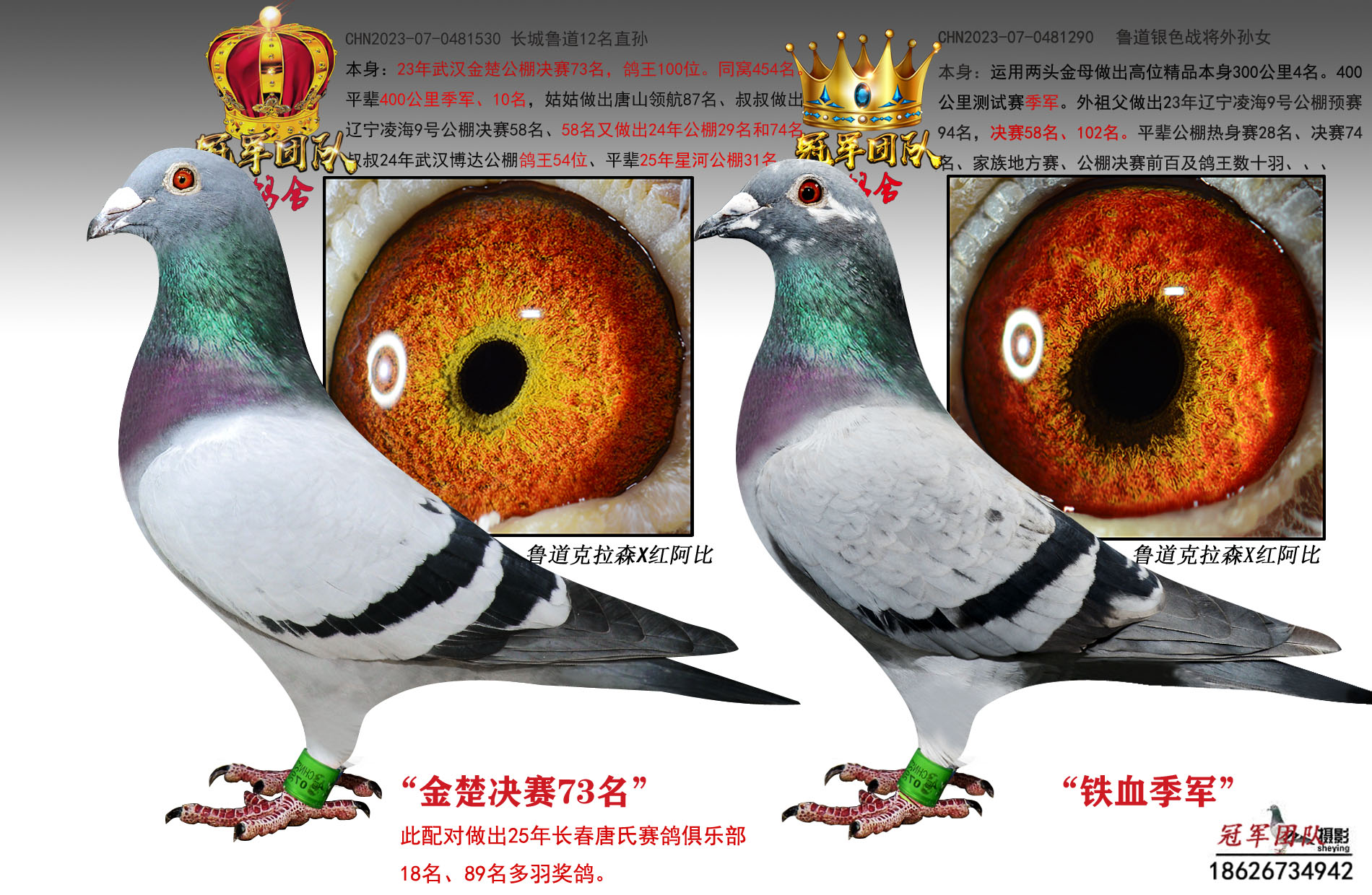 �人�������73��X��Ѫ������Զ���䣩