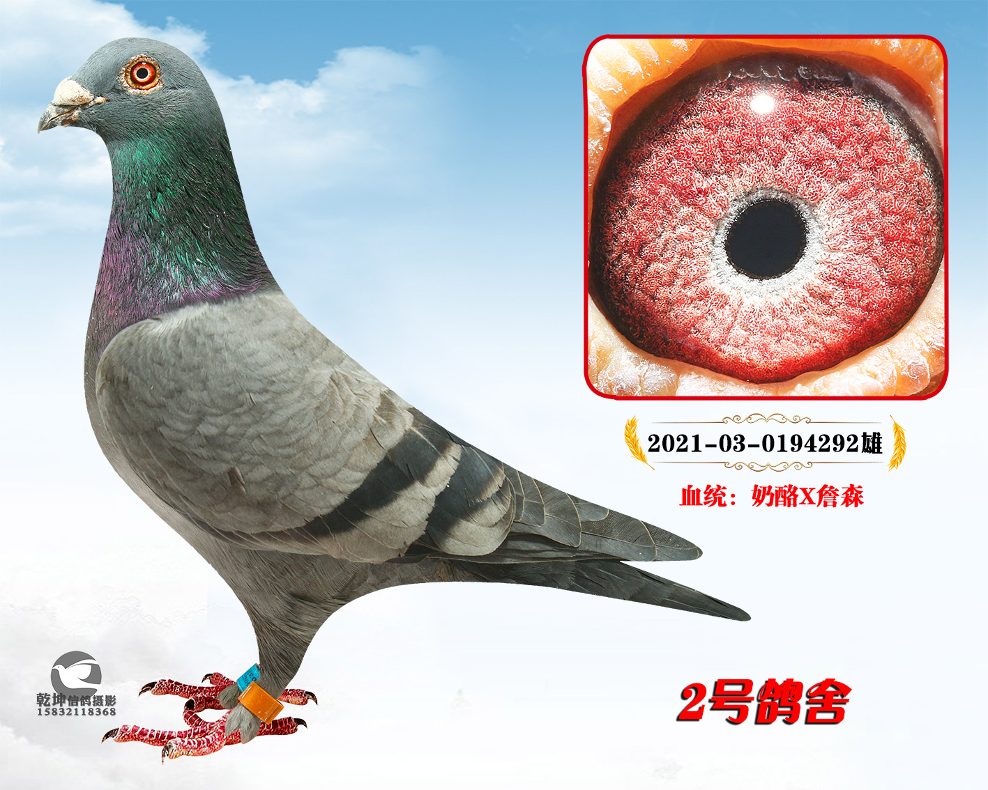 ������292��