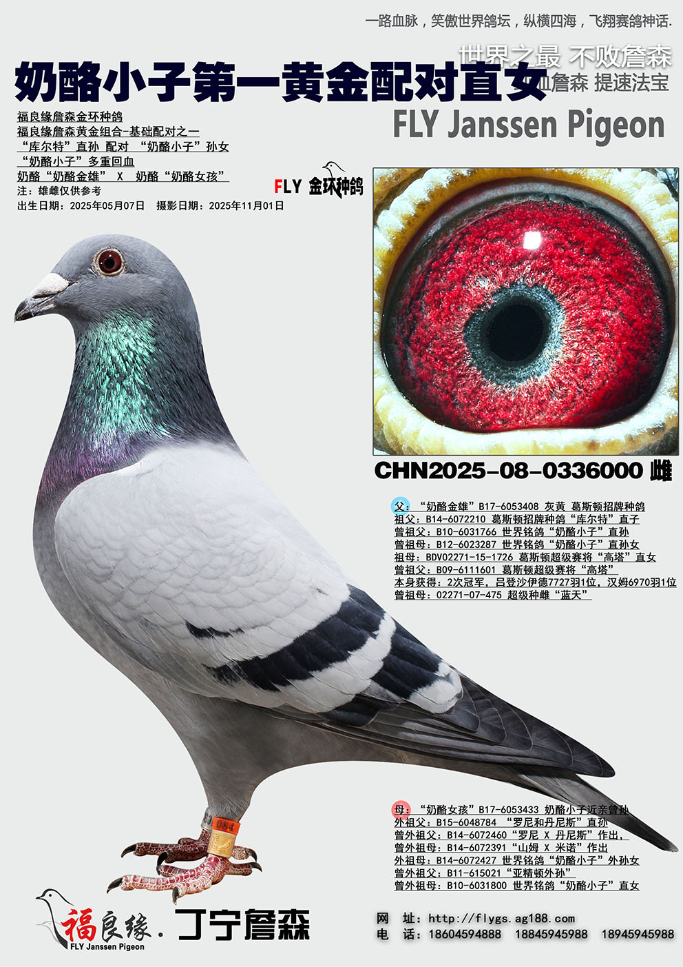 ����С�� ��һ�ƽ����ֱŮ