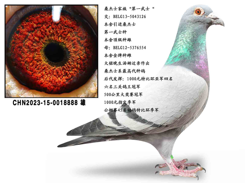 ɣ��ʿ�ƽ�����888