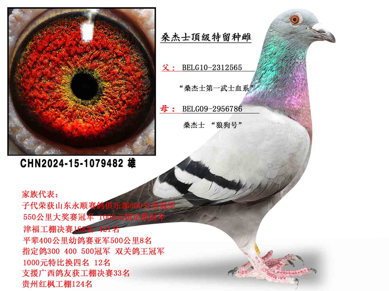 ɣ��ʿ��ʯ����