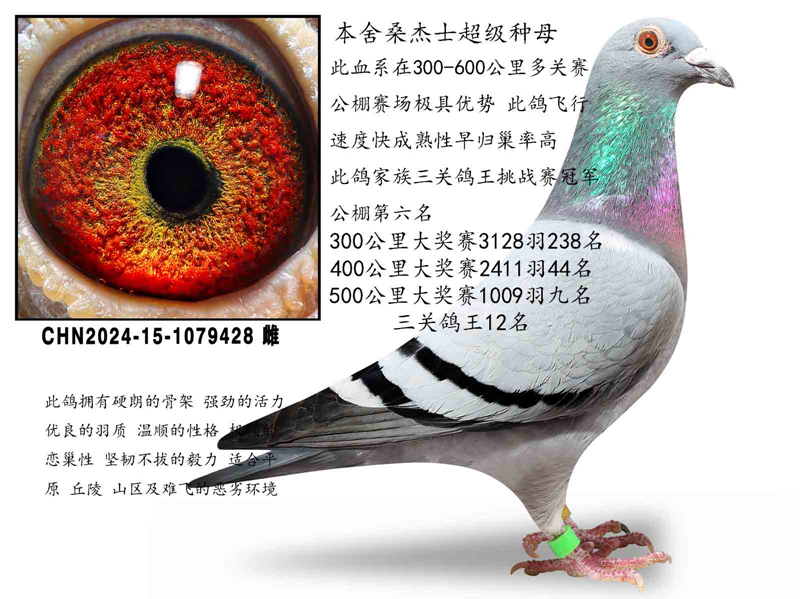 ɣ��ʿ������ĸ