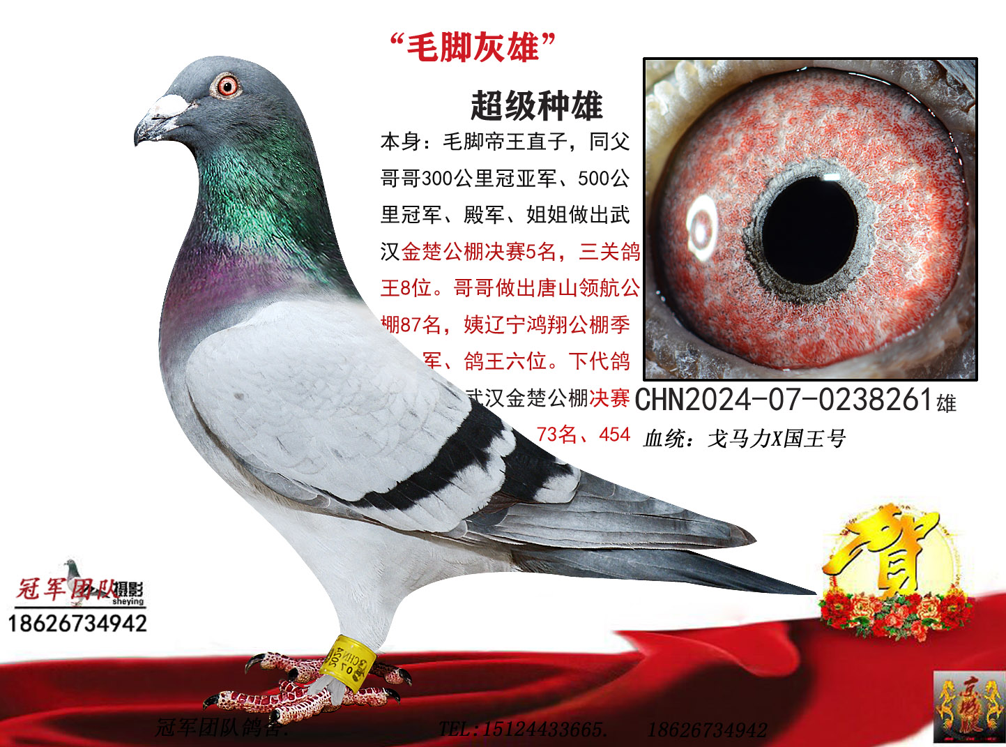 �ë�ţ�ë�Ż���