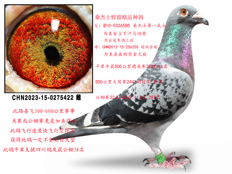 ɣ��ʿ�����ִ�