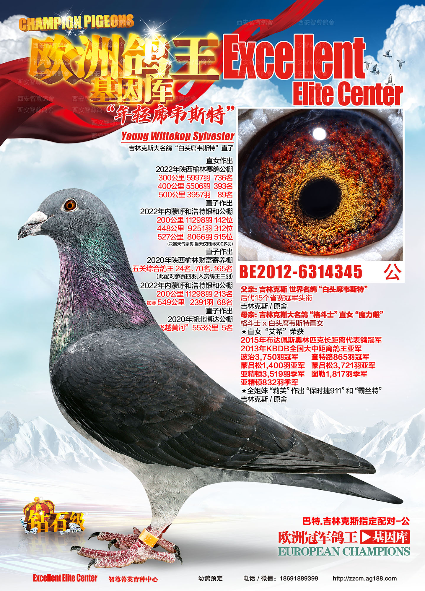 ����ϯ�S˹��