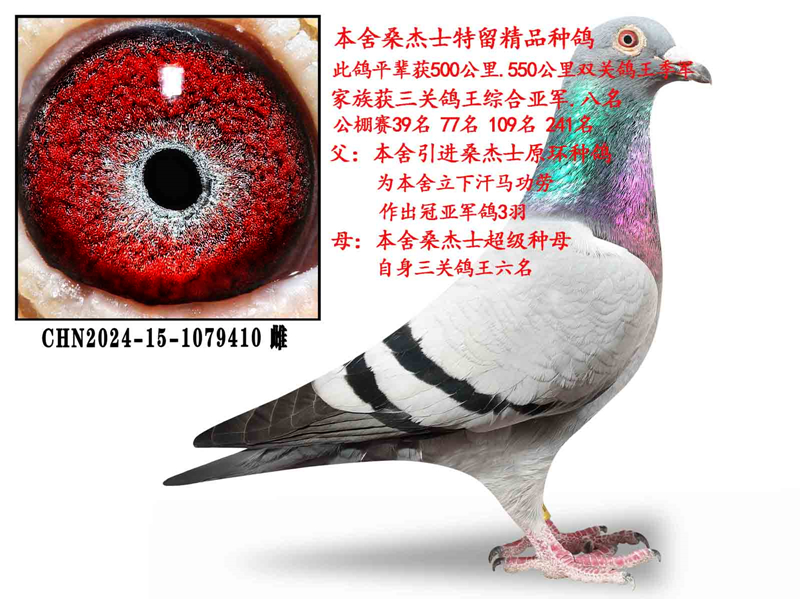 ɣ��ʿ�ִ�797