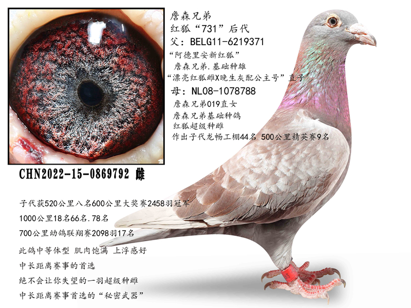 ������ִ�