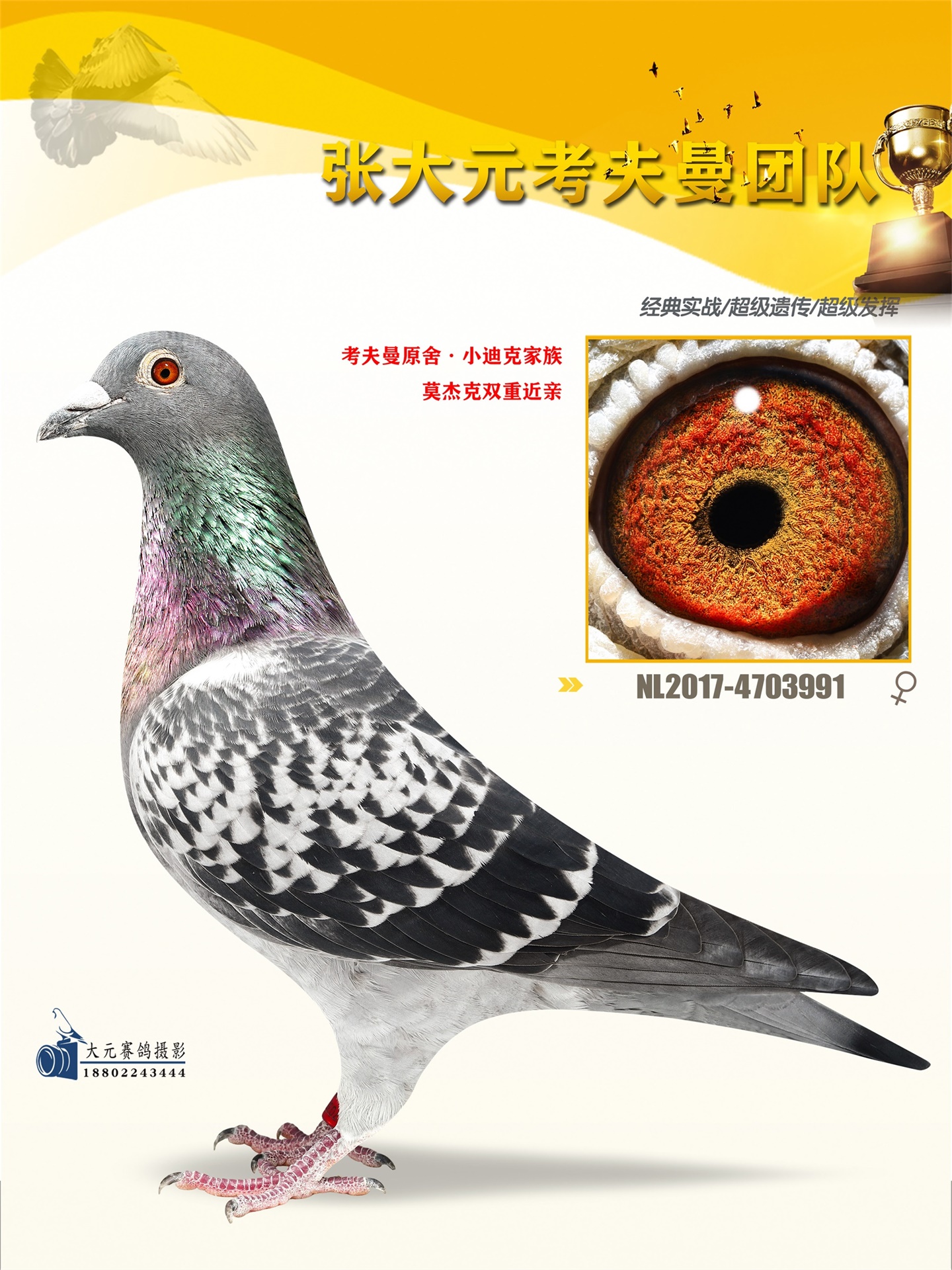 -СϿ˼塰Īܿˡ˫ؽ