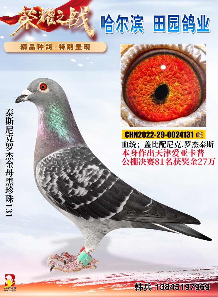 ������131