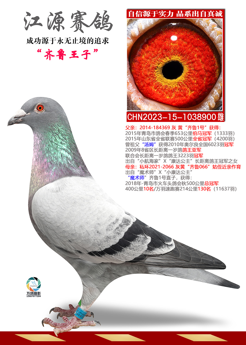 ��³����