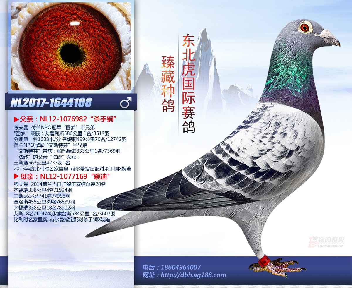 ����ɱ���