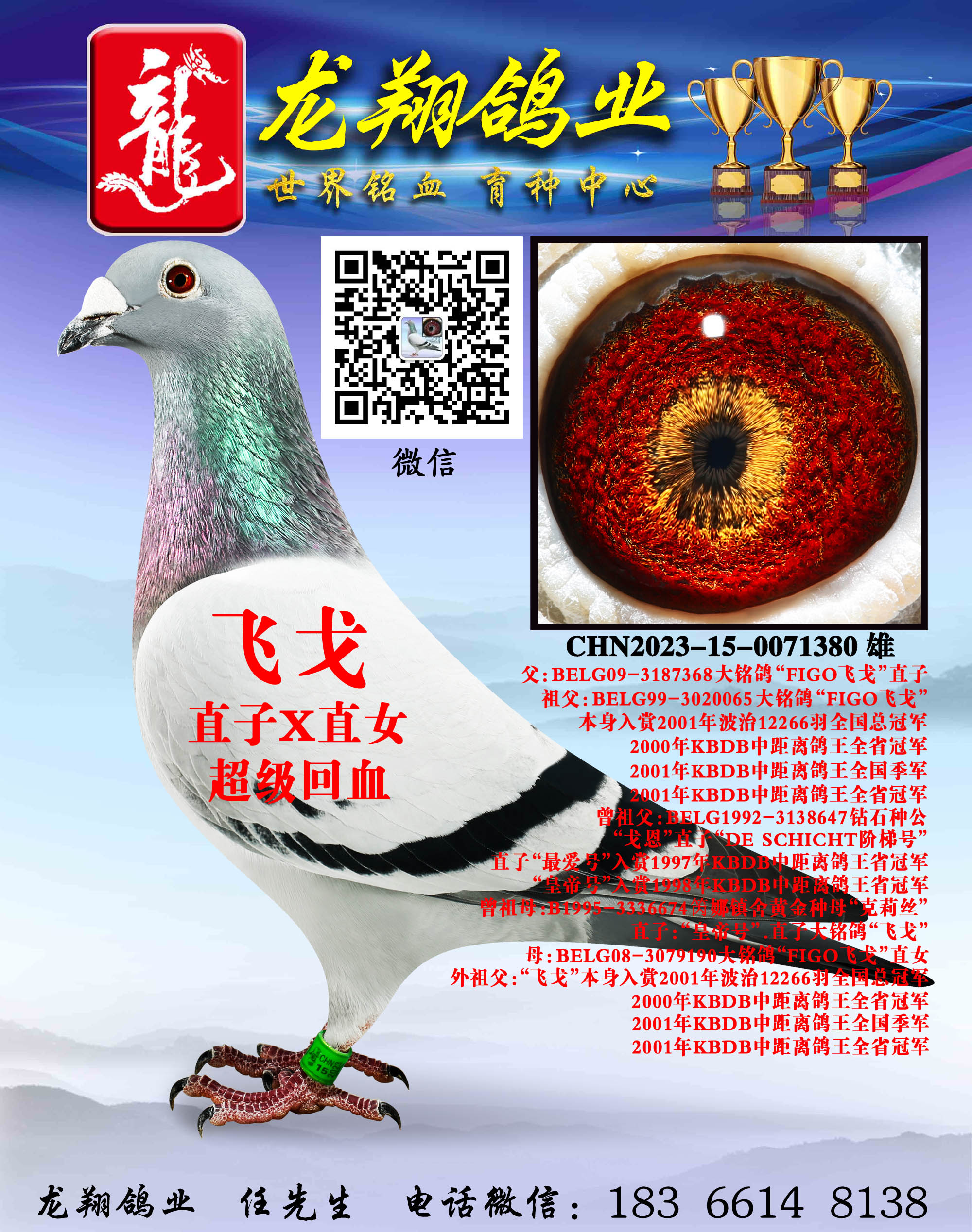 ���ɸꡱ����ֱ�����