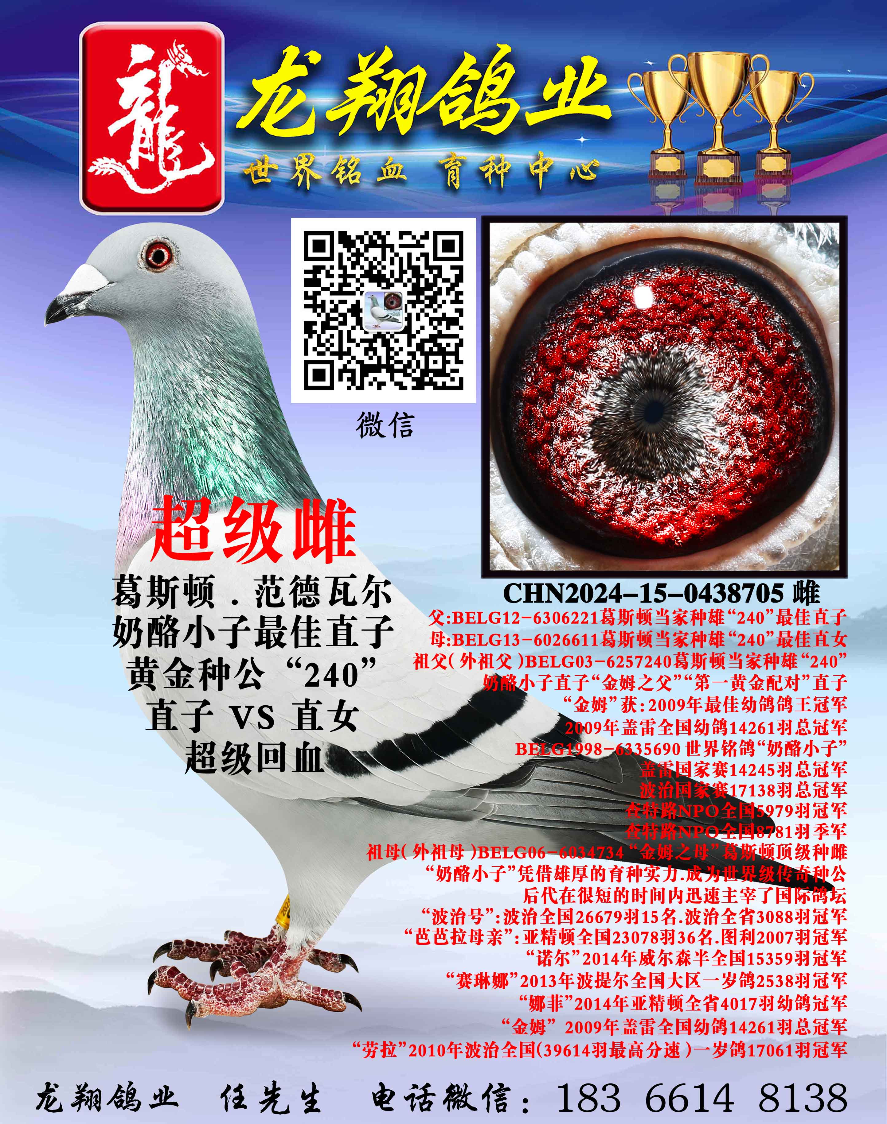 ���H���ҴƳ���