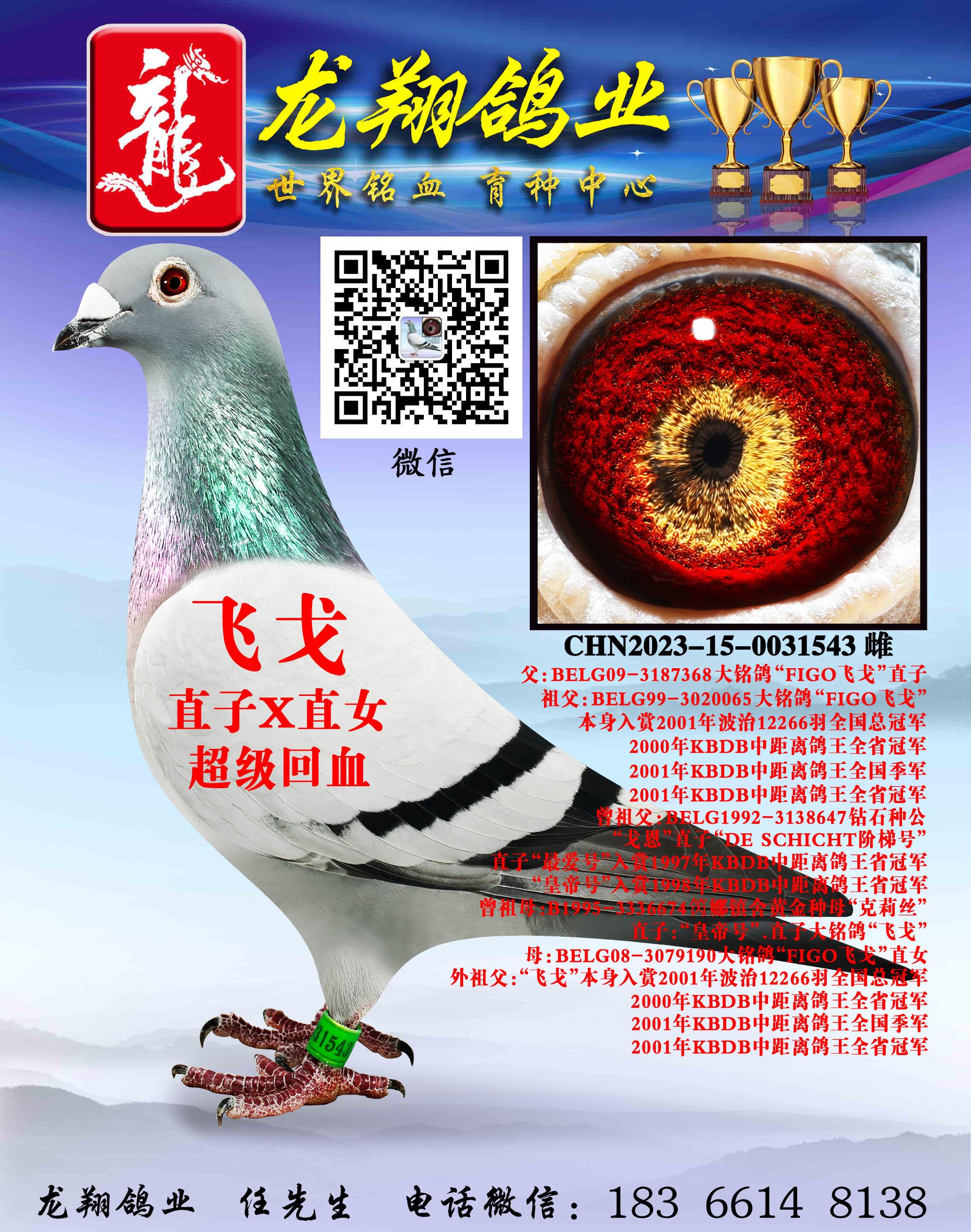 ���ɸꡱ������Ů����