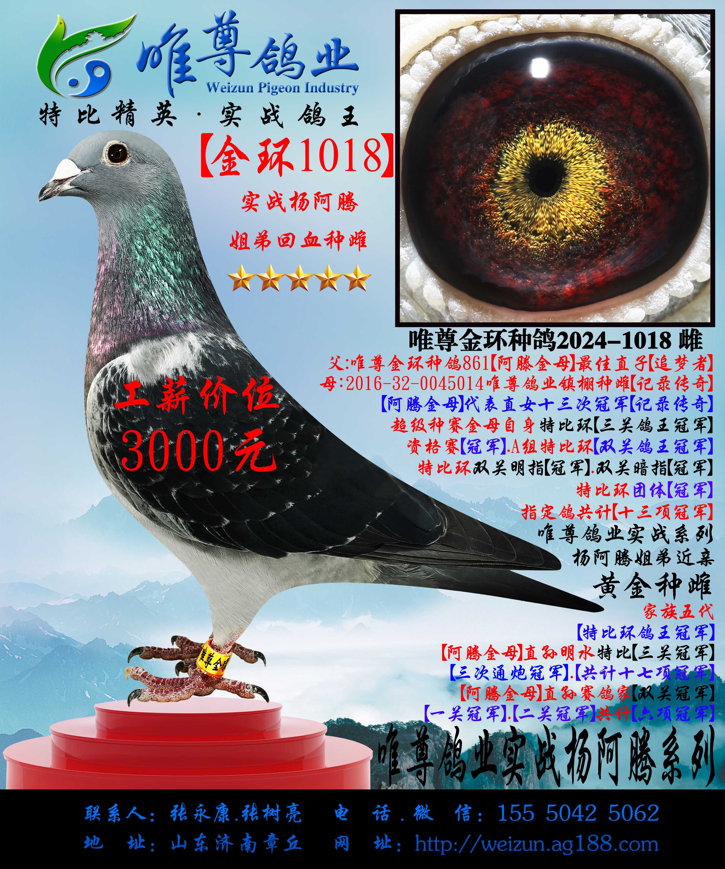 ����1018�����ʵսϵ��