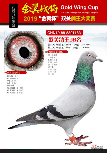 2019�������ʤ���������38λ