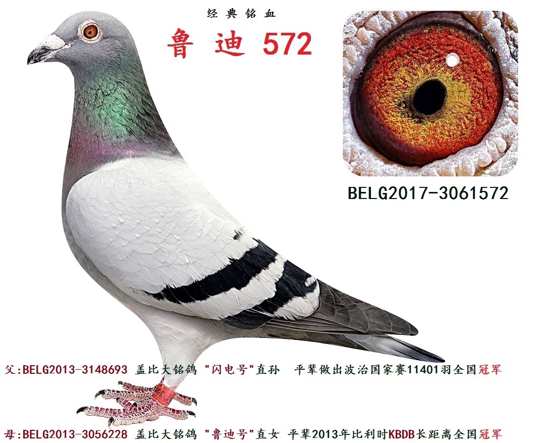 ����³��