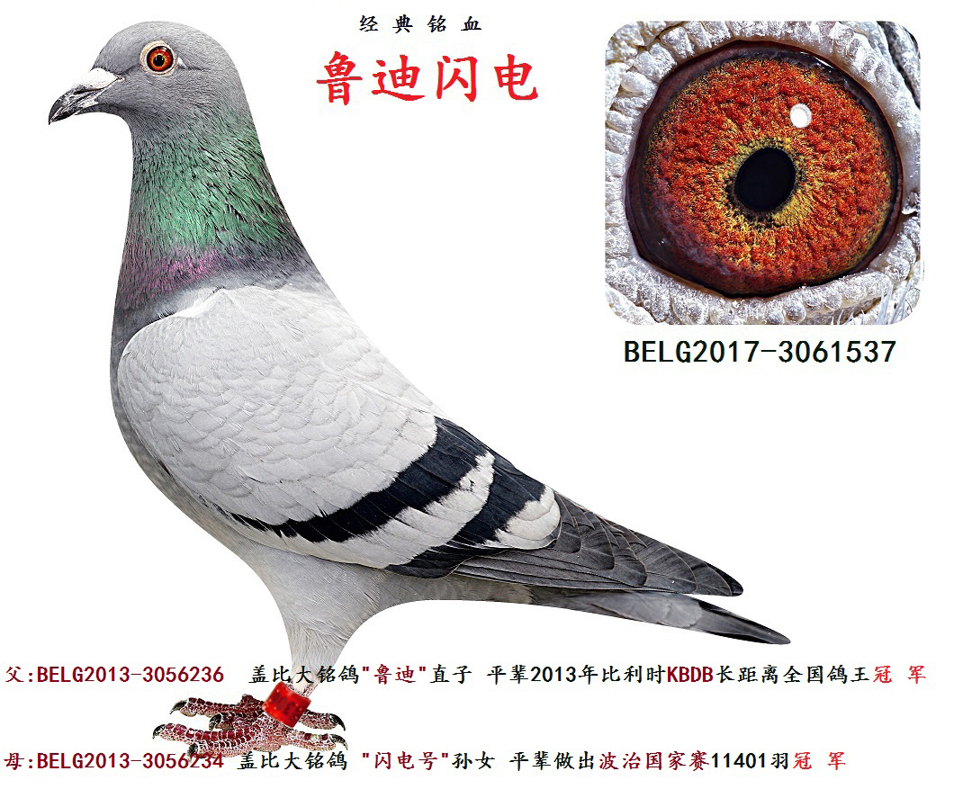 ³������