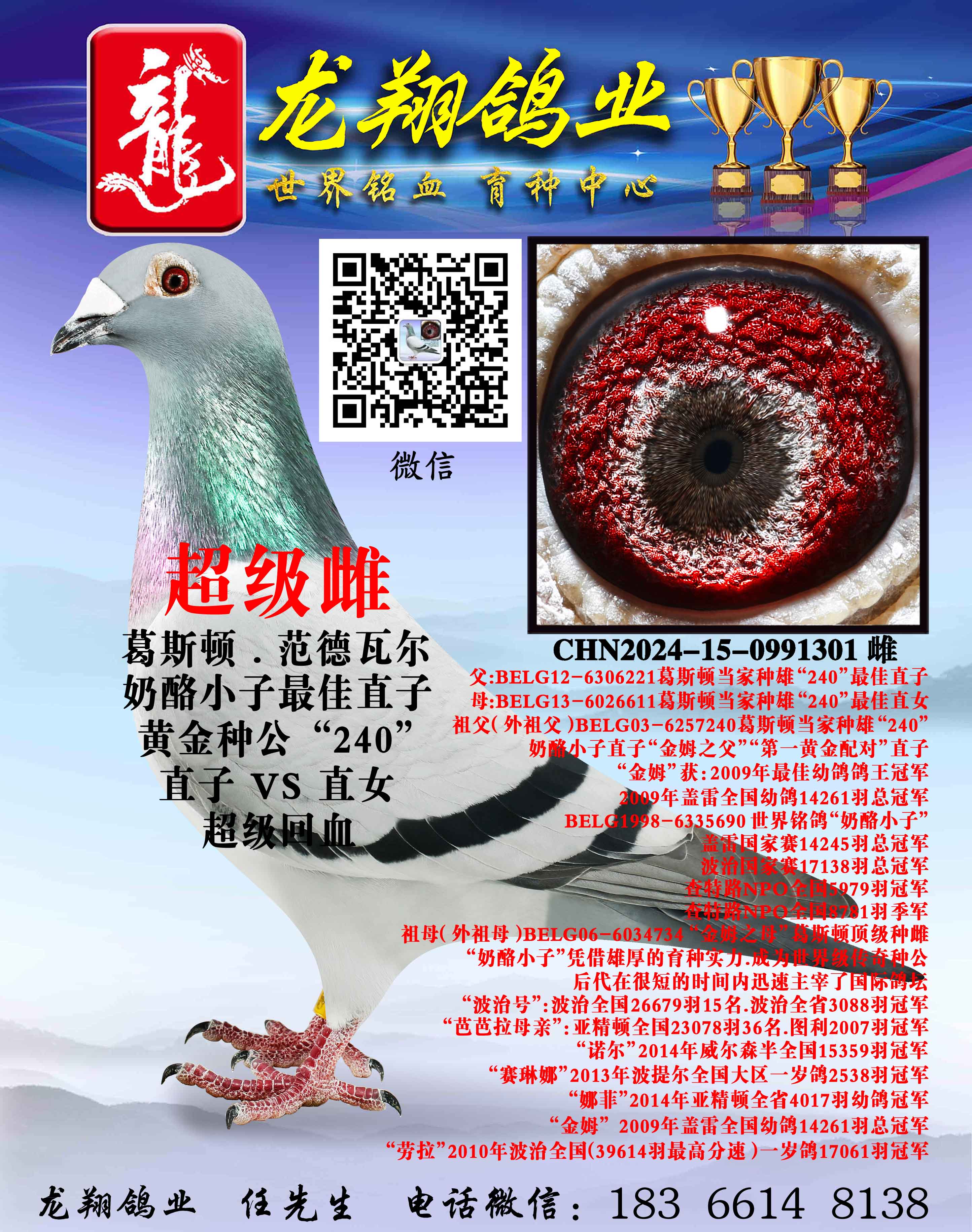 ��������С�ӴƳ���