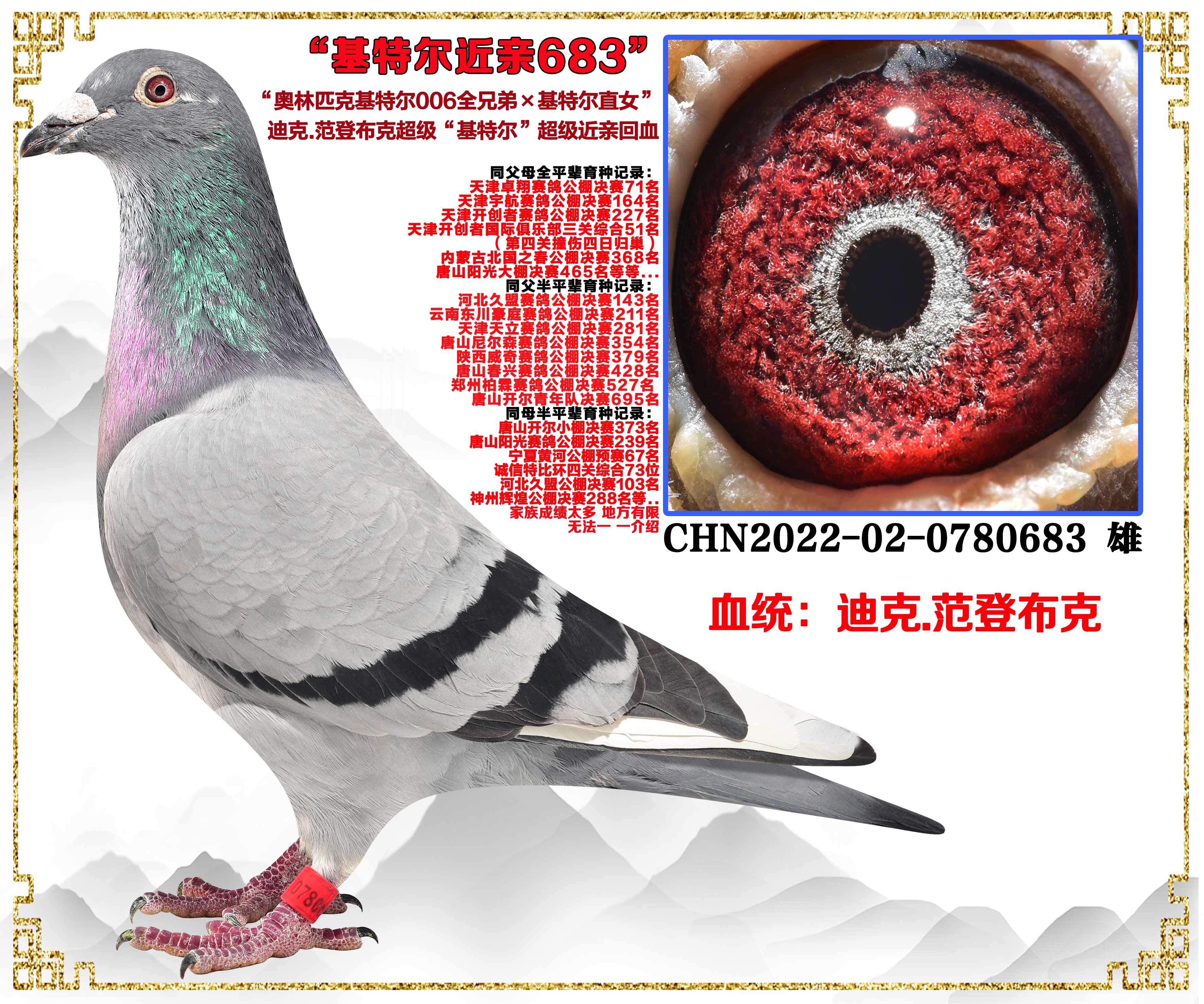 ���ڻ���������.....