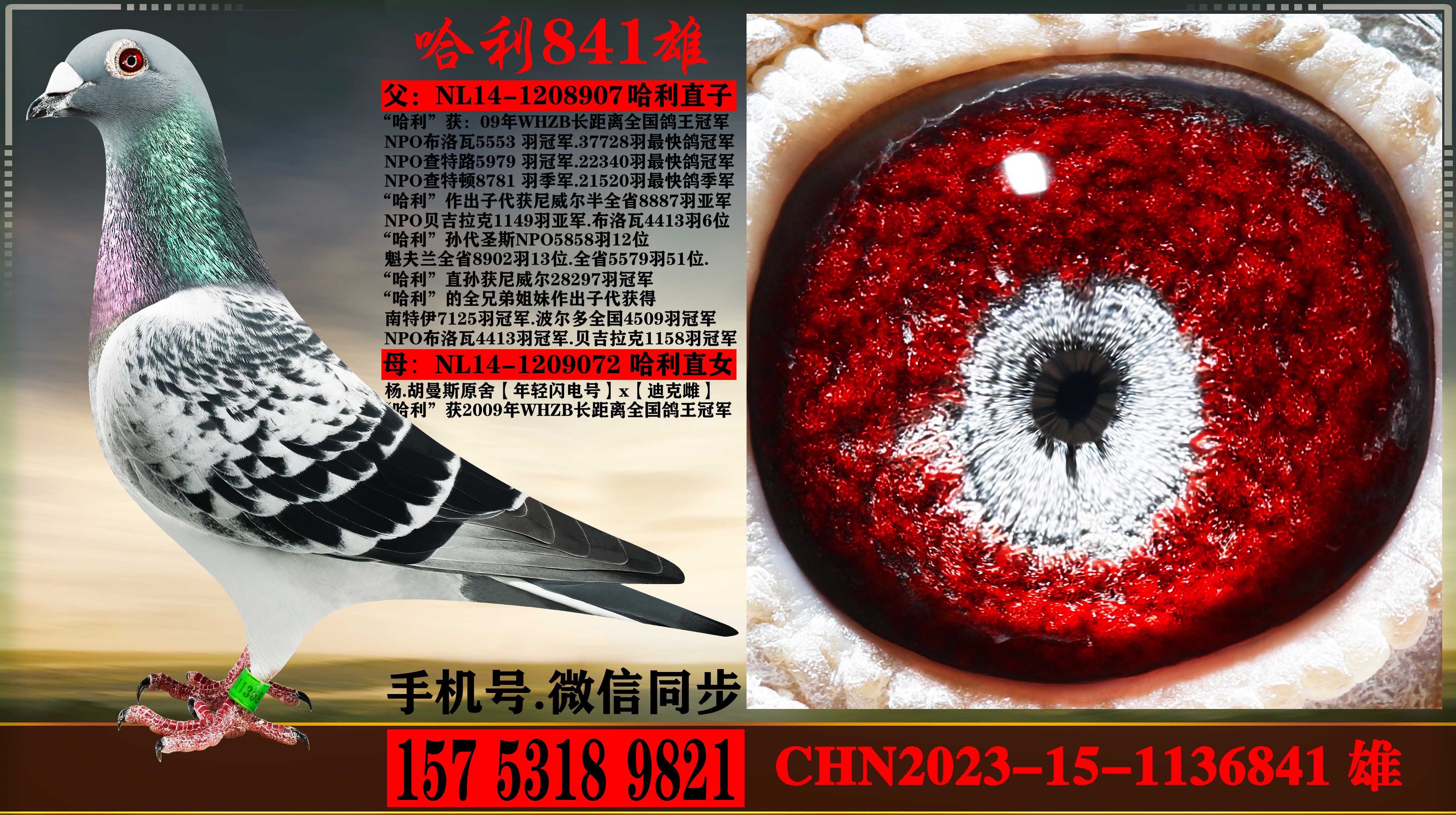 ��.����˹��������.����ֱ�������ֱŮ