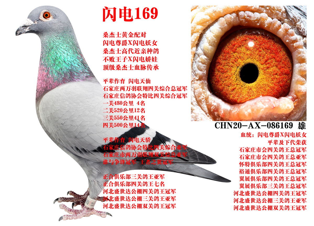 ɣ��ʿ ����169