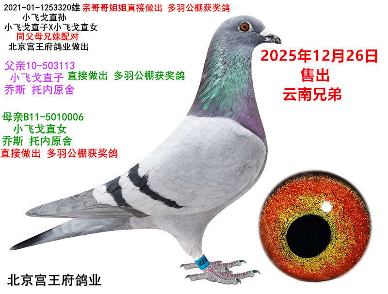 С�ɸ����ֱ��