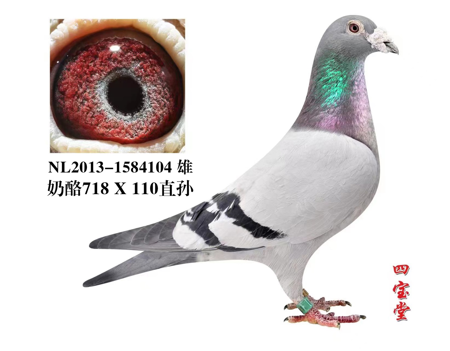 ���ҿ¶�718X110ֱ��