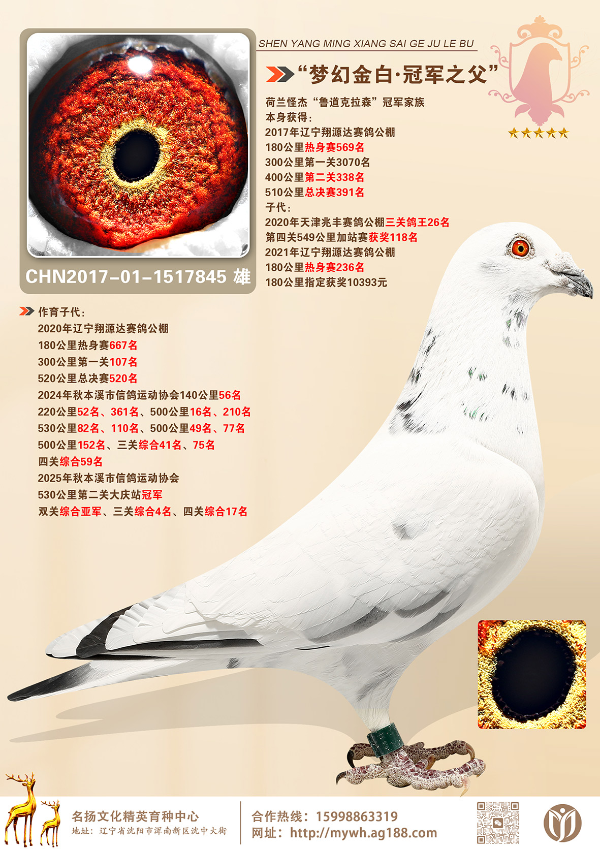 ���λý�ס��ھ�����