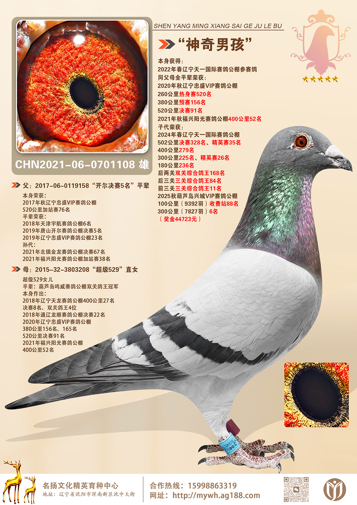 �������к�����ʢVIP����91��ȫƽ��