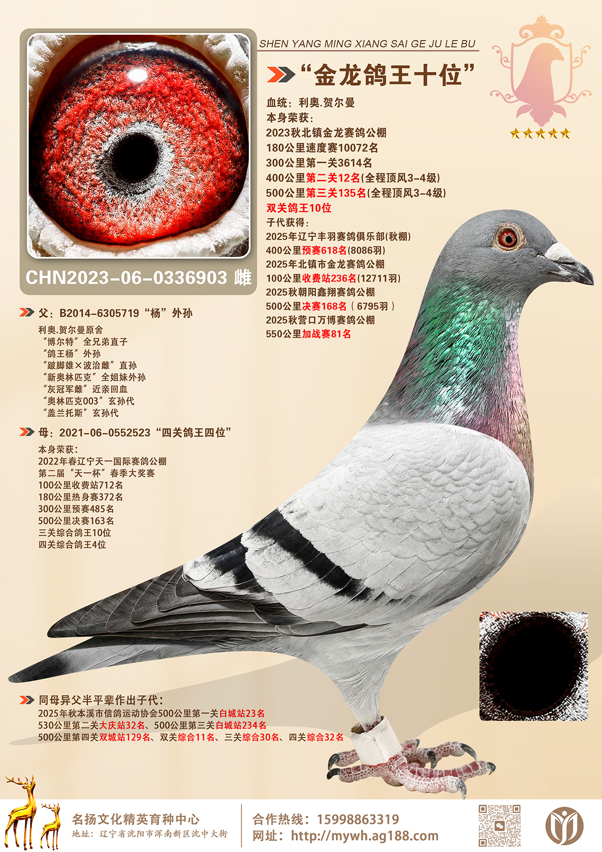 2023���ﱱ��������빫��˫�ظ���ʮλ