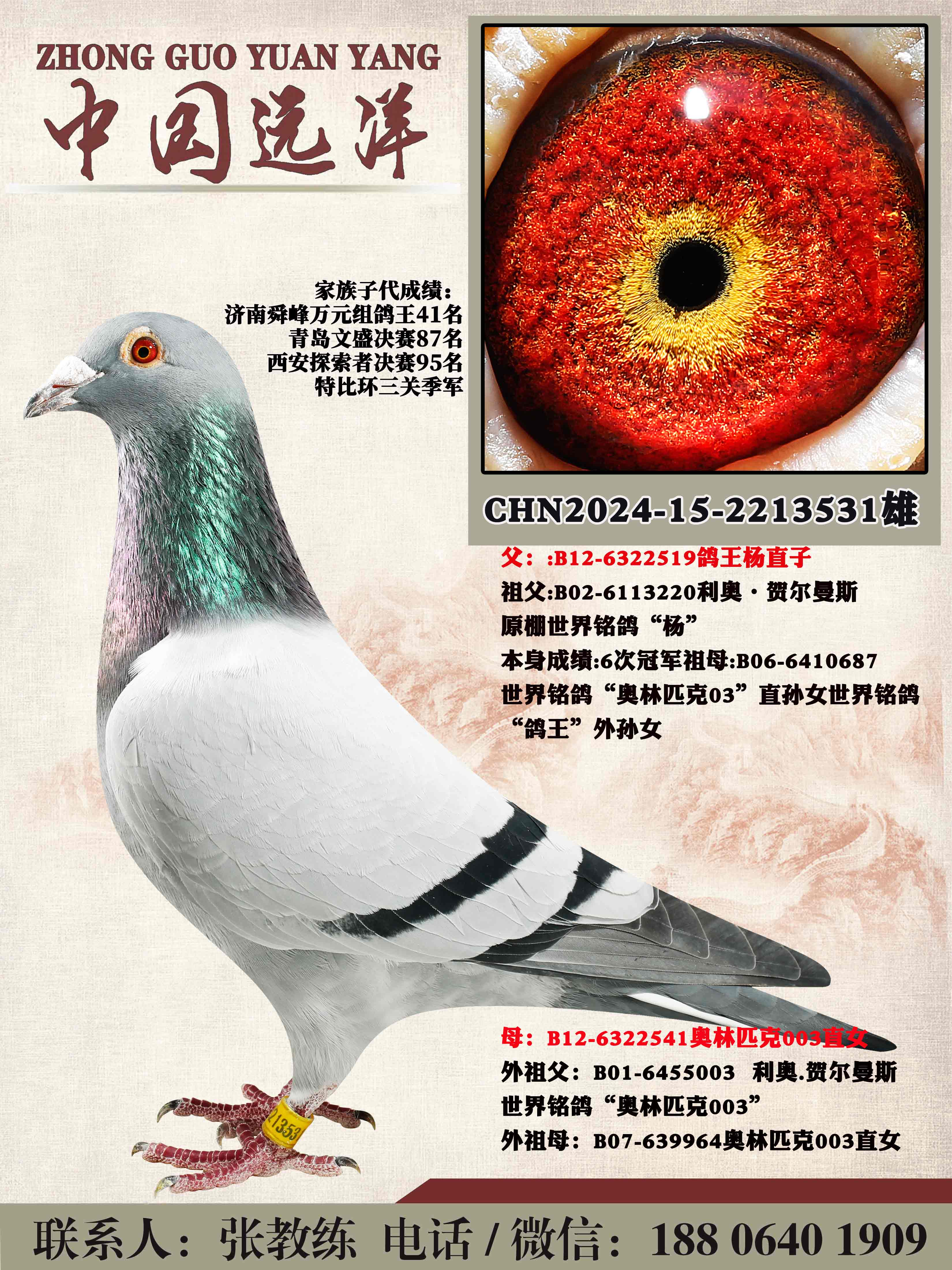 ���겻���ɼ�����